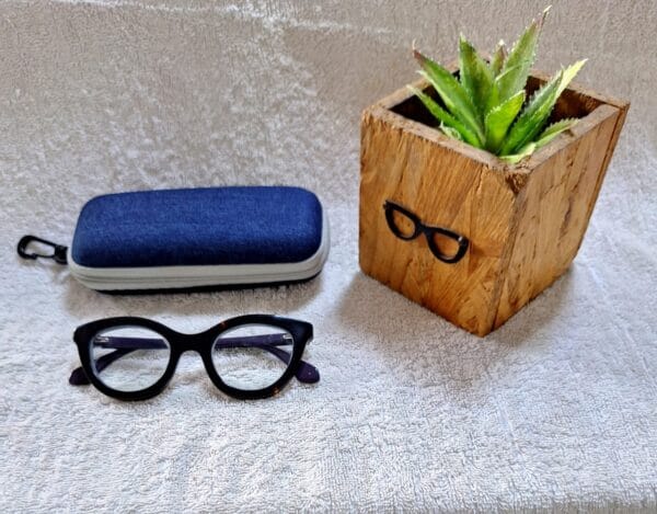 Bifocal Photochromic Glasses