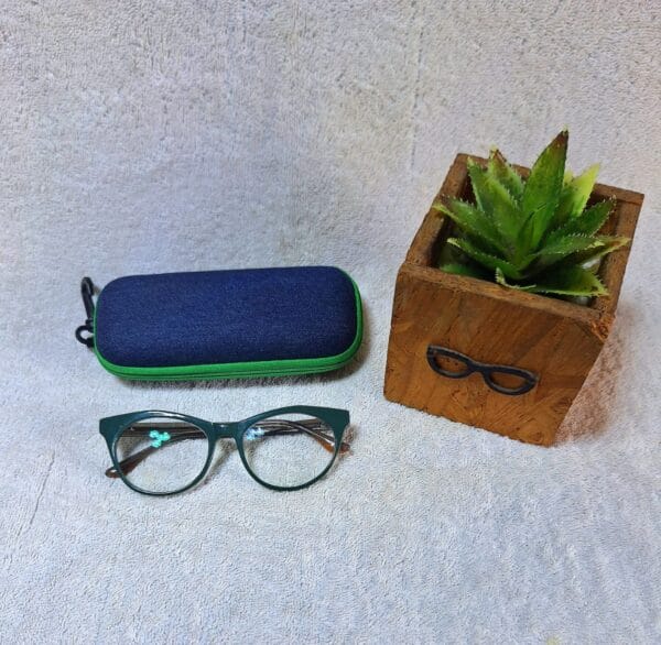 Bifocal Photochromic Glasses