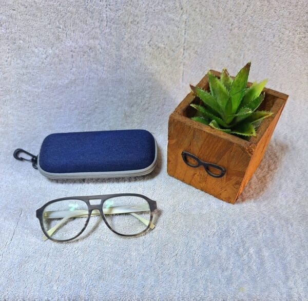 Bifocal Photochromic Glasses