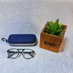 Bifocal Photochromic Glasses
