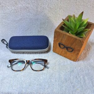 Bifocal Photochromic Glasses