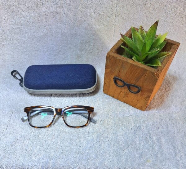 Bifocal Photochromic Glasses