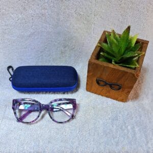 Bifocal Photochromic Glasses
