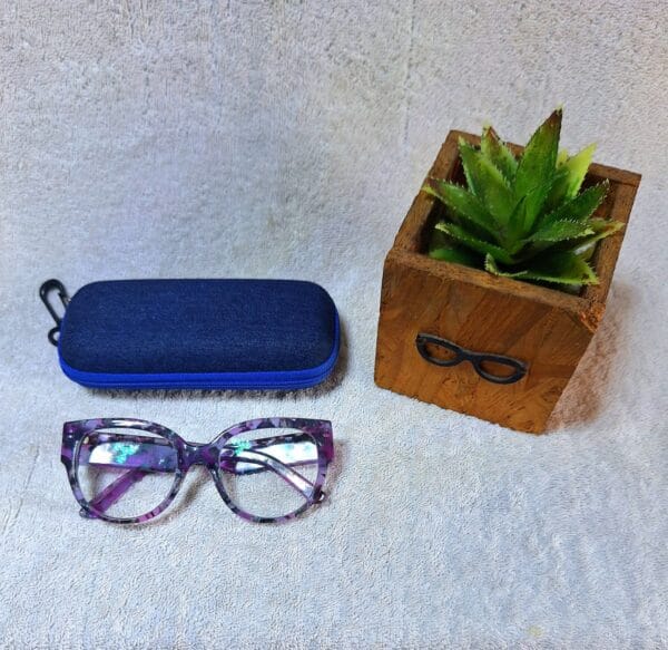 Bifocal Photochromic Glasses