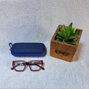 Bifocal Photochromic Glasses