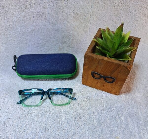 Bifocal Photochromic Glasses