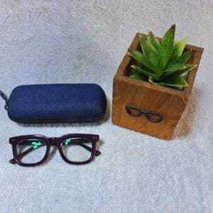 Bifocal Photochromic Glasses