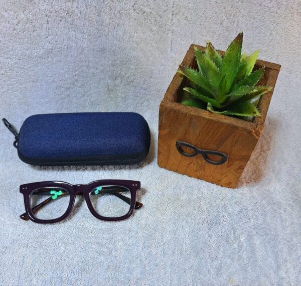 Bifocal Photochromic Glasses