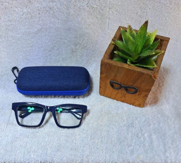 Bifocal Photochromic Glasses