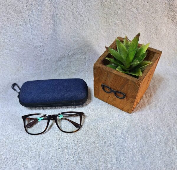 Bifocal Photochromic Glasses