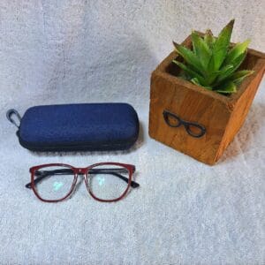 Bifocal Photochromic Glasses
