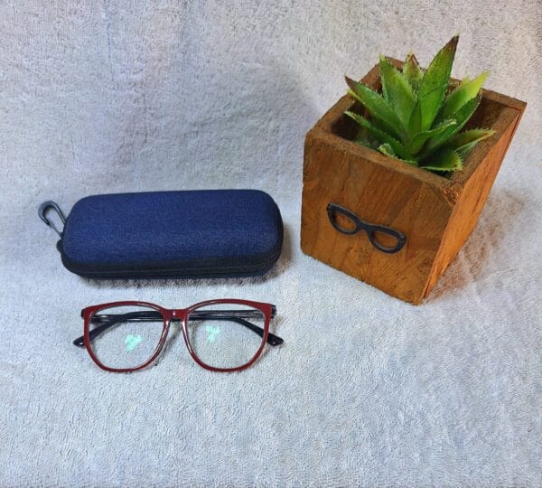 Bifocal Photochromic Glasses