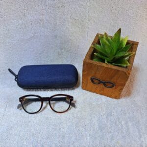 Bifocal Photochromic Glasses
