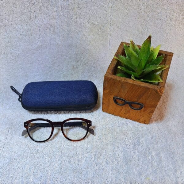 Bifocal Photochromic Glasses
