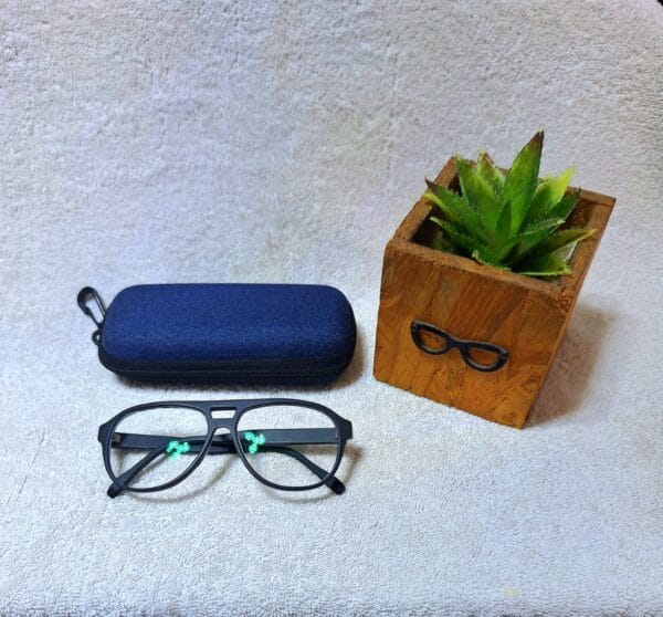 Bifocal Photochromic Glasses