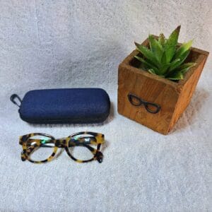 Bifocal Photochromic Glasses