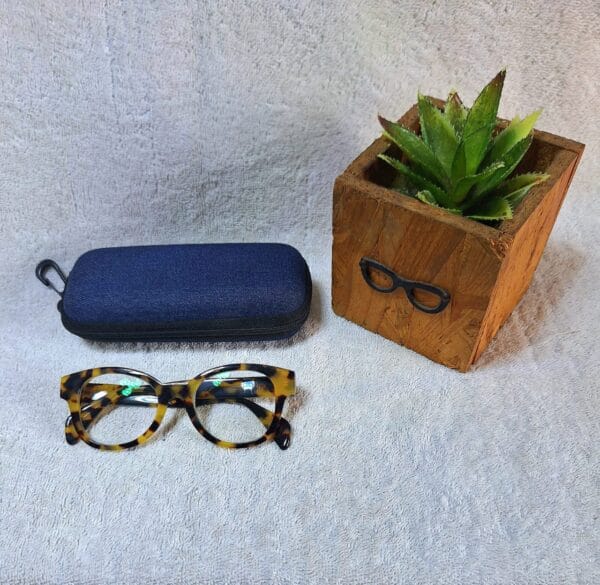 Bifocal Photochromic Glasses