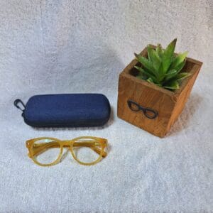 Bifocal Photochromic Glasses