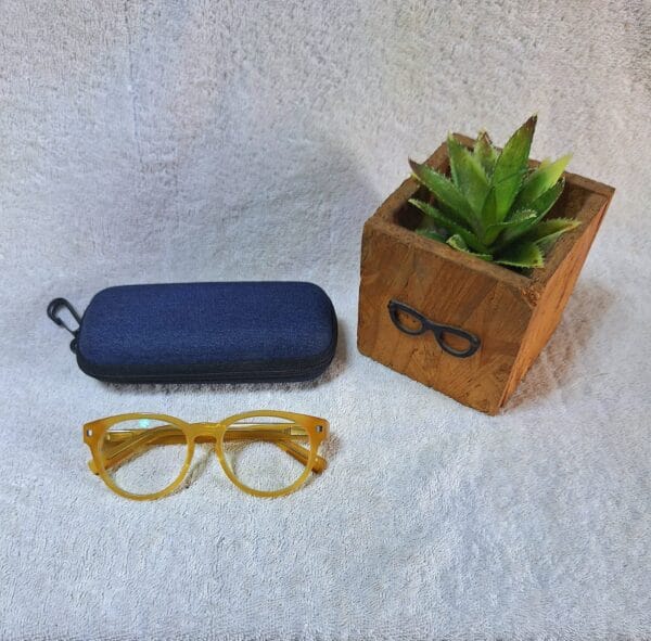Bifocal Photochromic Glasses